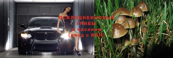 мескалин Абинск