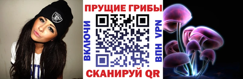 Псилоцибиновые грибы Psilocybine cubensis  купить наркоту  Сольвычегодск 