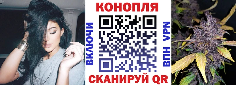 МАРИХУАНА план  KRAKEN как войти  Сольвычегодск 